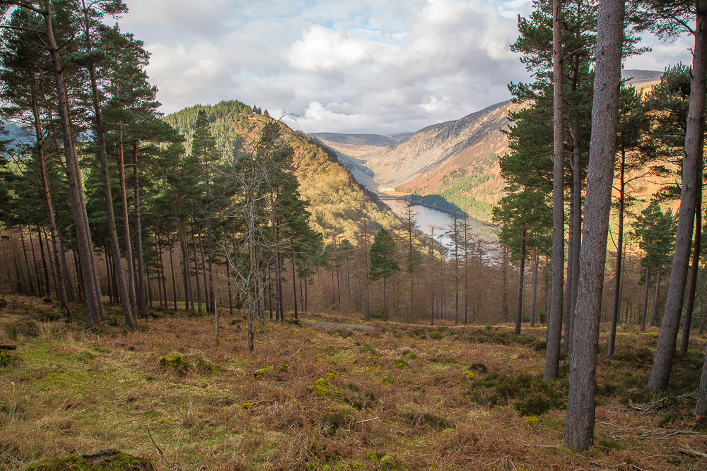 Glendalough_280216_2_1k.jpg