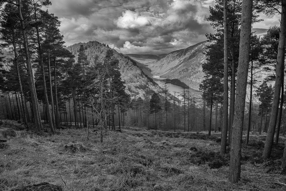 Glendalough_280216_3_1k.jpg