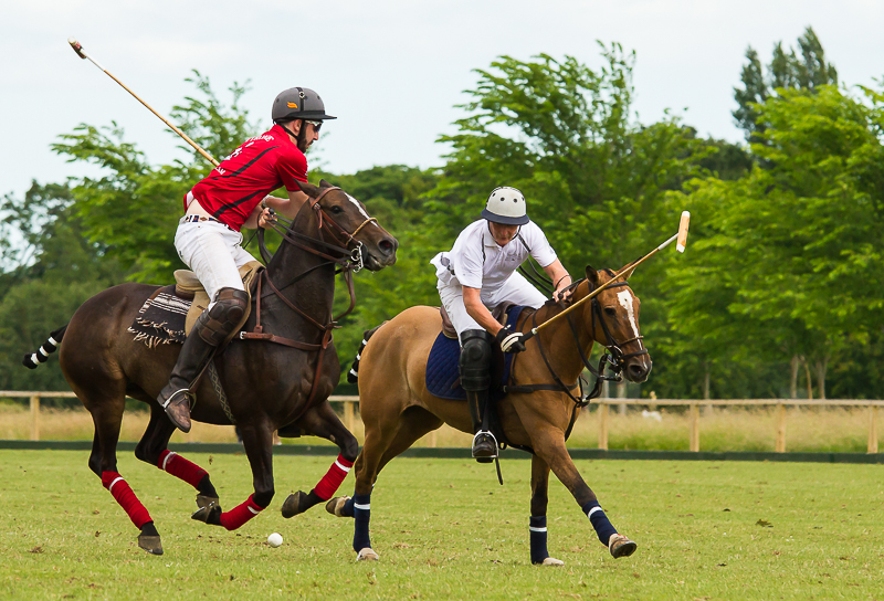 Polo_050715_800px_1.jpg